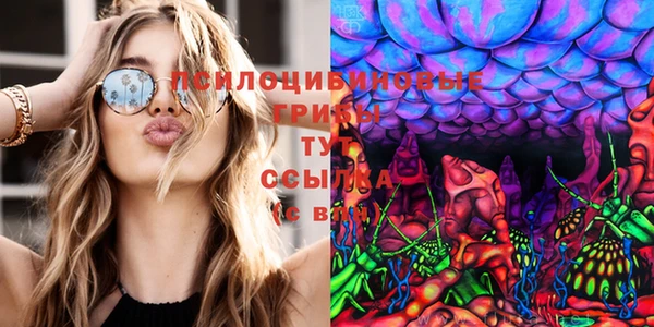 spice Киреевск