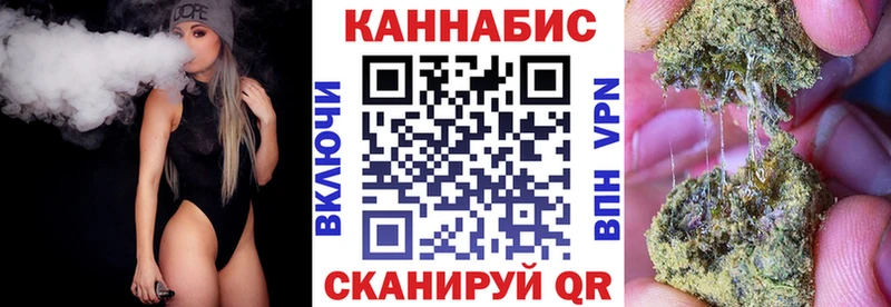 Каннабис сатива Пионерский